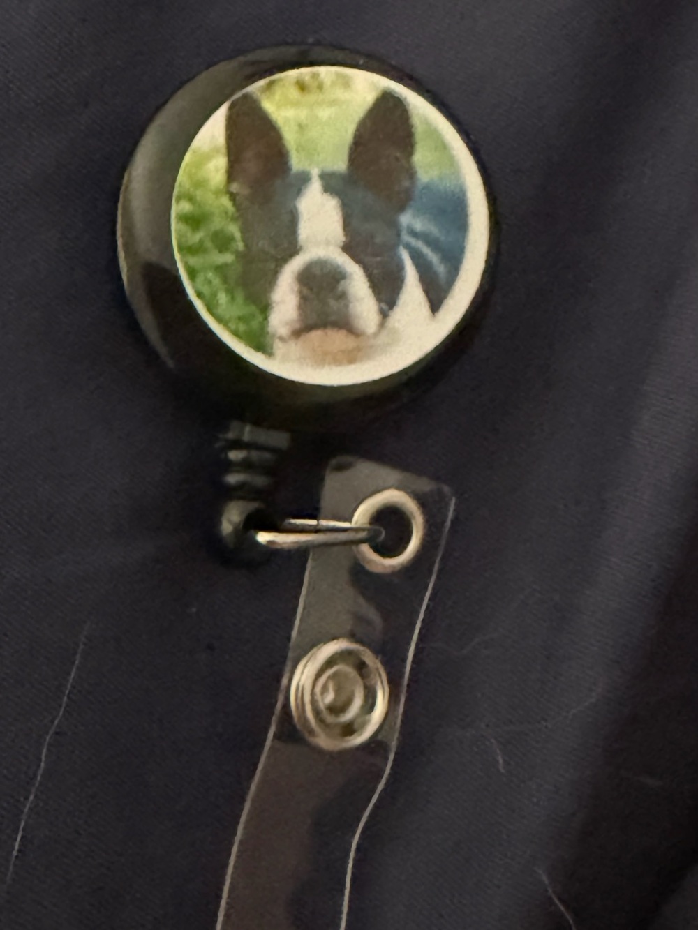 Black Dog Retractable Badge Reel with Boston Terrier Image